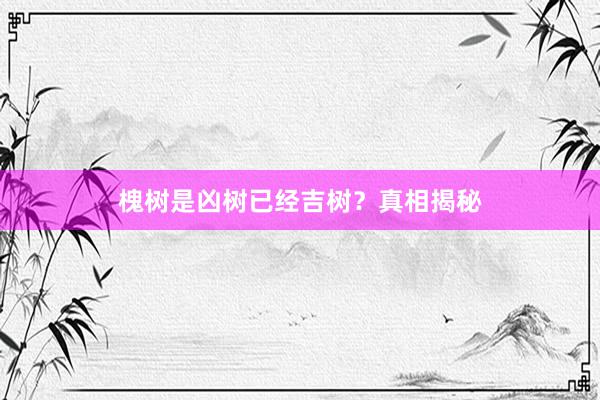 槐树是凶树已经吉树？真相揭秘