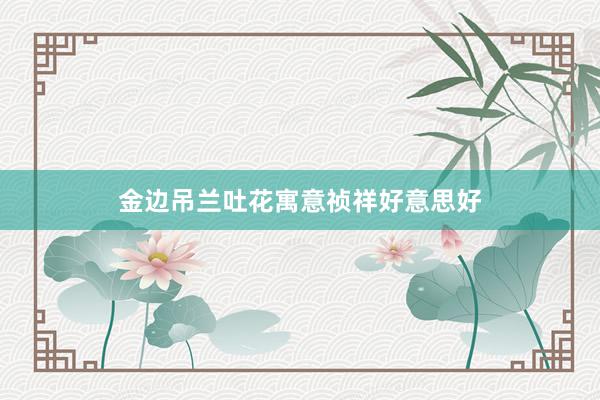 金边吊兰吐花寓意祯祥好意思好