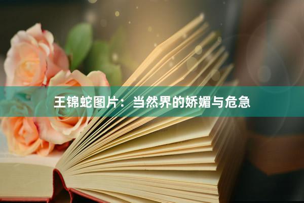 王锦蛇图片:当然界的娇媚与危急